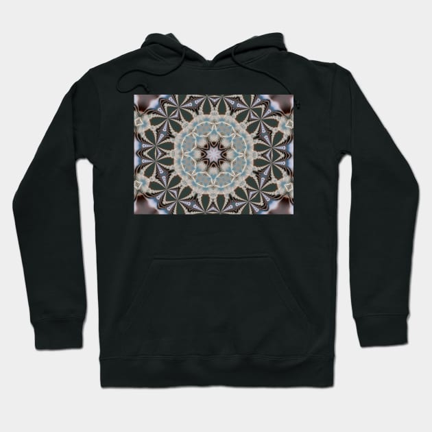 Fractal kaleidoscope Hoodie by pinkal